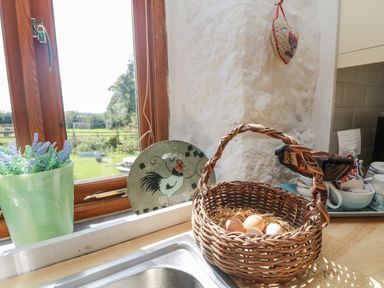 A kitchen counter with a wicker basket containing eggs near a window with a potted plant and a decorative plate with a rooster at Mill in Nancegollan nr Porthleven