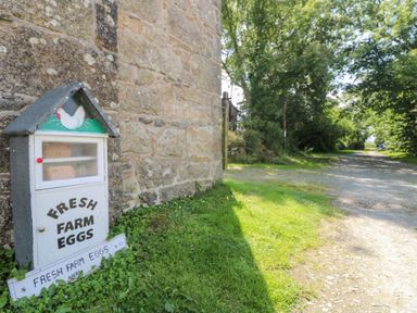 A small roadside stand for fresh farm eggs next to a stone building with a gravel path and trees at Mill in Nancegollan nr Porthleven