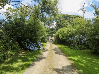 A gravel driveway lined with green grass and bushes with blue flowers leading to a stone building at Mill in Nancegollan nr Porthleven
