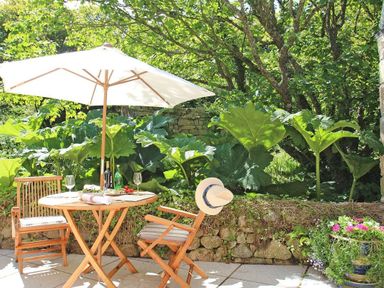 An outdoor patio with a wooden table and chairs under a white umbrella surrounded by plants and trees at Cot Valley Cottage in St Just