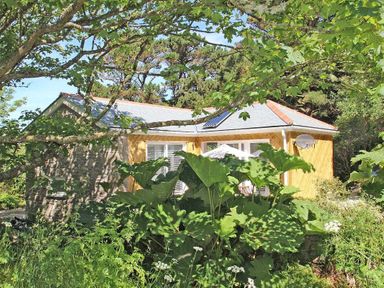 A small house partially hidden by large green plants and trees at Cot Valley Cottage in St Just