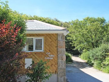Exterior of a wooden cottage with a window and plants near a driveway at Cot Valley Cottage in St Just