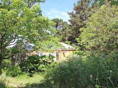 A house partially visible behind trees and dense greenery at Cot Valley Cottage in St Just