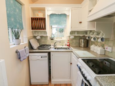 A kitchen with a sink dishwasher stove and cupboards with hanging mugs at Pippin in Lelant