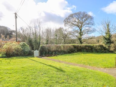 A garden with green grass a hedge a white gate and a bare tree at Goshen Farm in St Agnes