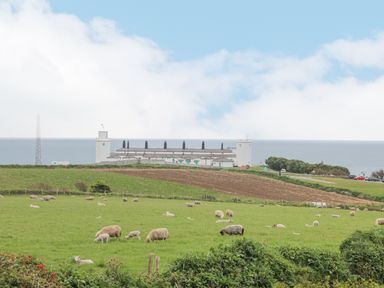 A field with sheep and lambs grazing near a white building and the sea at Parc An Castle Cottage in Lizard
