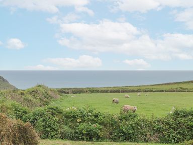A field with sheep and hedges overlooking the ocean at Parc An Castle Cottage in Lizard