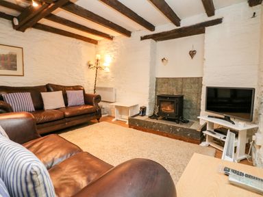 A living room with leather sofas a wood burning stove and a television at Apple Loft in Lostwithiel