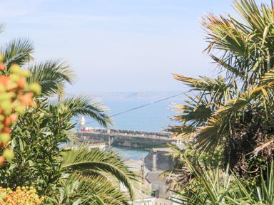 A view of a pier and ocean seen through palm trees and other greenery at Rose Villa in Newlyn