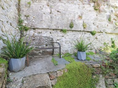 A stone bench between two potted plants against a stone wall outside at Rose Villa in Newlyn