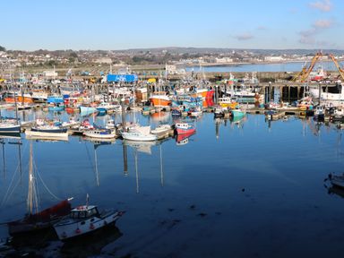 A harbor with many fishing boats docked and a town with buildings in the background at Rose Villa in Newlyn