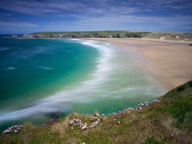 A beach with turquoise water and sandy shore viewed from a grassy cliff with pink flowers at Mithian Cottage in St Agnes