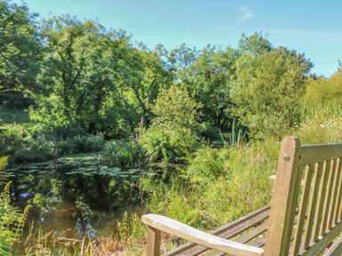 A wooden bench near a pond with lily pads surrounded by trees and plants in a garden