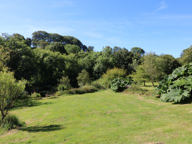 A grassy garden area with various trees and shrubs and a wooden bench at Pond Cottage in Stithians