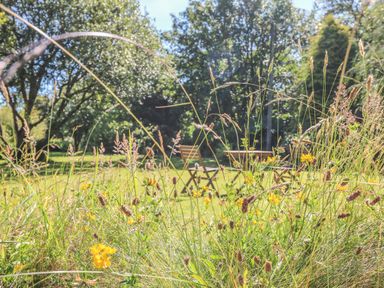 A garden with wildflowers and grass and two wooden chairs and a table in the background at Pond Cottage in Stithians