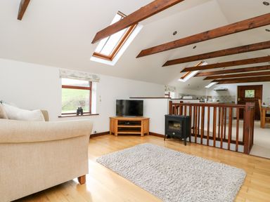A living area with a beige sofa a rug television and skylights at Castle Dore Barn in Fowey