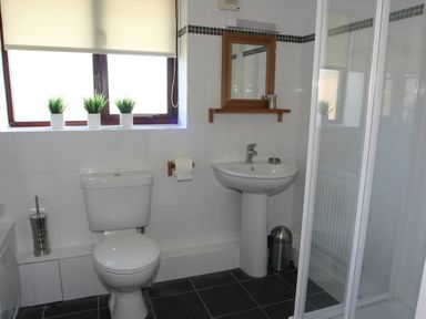 A bathroom with a toilet, pedestal sink, shower enclosure, three small potted plants on the window sill, and a wall mirror at Sea Shore in Marazion