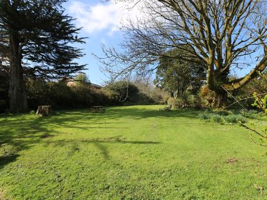 A grass lawn with large trees and a picnic table at Boskednan Wartha in Penzance