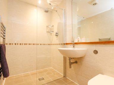 A bathroom with a walk-in shower a sink and a heated towel rail at Rock Pool in Downderry