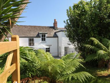 A garden with ferns and a tree in front of a white house with a roof and chimney at 1 Dormer Villas in Portscatho