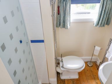 A bathroom with a toilet wood floor window with curtains and a frosted glass shower door at 1 Dormer Villas in Portscatho