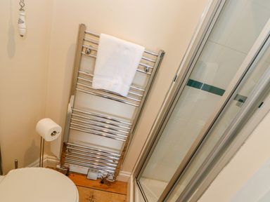 A bathroom corner with a white towel on a chrome towel rack next to a toilet with a roll of toilet paper and a shower with glass doors at 1 Dormer Villas in Portscatho