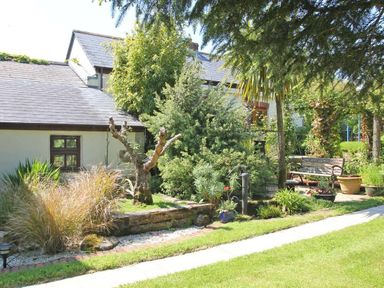A garden with various plants bushes and a bench next to a house at Summer House in Helston