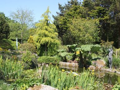 A garden with a pond surrounded by various plants trees and a statue of a person at Summer House in Helston
