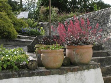 An outdoor garden area with three terracotta pots containing plants on stone steps near a stone wall at White Duck Cottage in Hayle