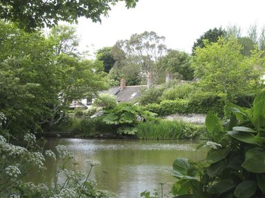 A pond surrounded by trees and bushes with houses in the background at White Duck Cottage in Hayle