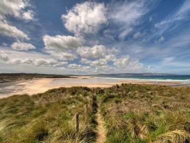A grassy path leading to a sandy beach with water and a cloudy sky at White Duck Cottage in Hayle