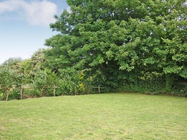 A grassy garden area with wooden fence and large trees in the background at Godrevy Cottage in Hayle