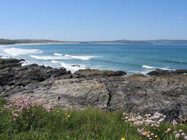 Rocky coastline with wildflowers and ocean waves at Godrevy Cottage in Hayle