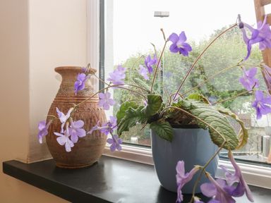 A window with a potted plant with purple flowers and a decorated clay vase on the windowsill at Little Hamlin in Rilla Mill Nr Callington