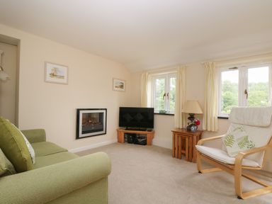 A sitting room with a green sofa a wooden chair a television on a wooden corner unit and a small wooden table with a lamp at Little Hamlin in Rilla Mill Nr Callington