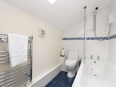 A bathroom with a toilet a bathtub with shower a towel rail and a skylight at Little Hamlin in Rilla Mill Nr Callington