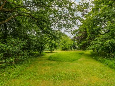 A grassy area with trees and two diverging paths at Penwarne Lodge in Mawnan Smith