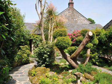 A garden with a pathway and various plants at Trevenning Chapel near Port Isaac