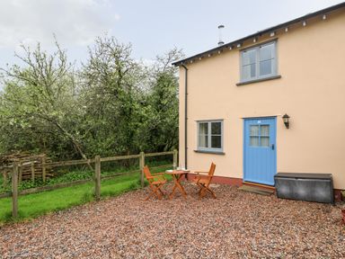 An outdoor area with a small table and two chairs next to a house with a blue door and windows at Plum Cottage in Colebrooke near Crediton