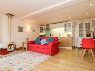 A living room with a red sofa blue cushions a wood burning stove a polka dot rug and a kitchen area at Plum Cottage in Colebrooke near Crediton