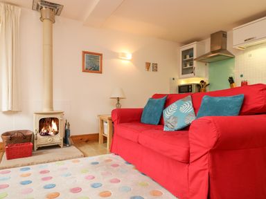 A living room with a red sofa blue cushions a fireplace and a polka dot rug at Plum Cottage in Colebrooke near Crediton