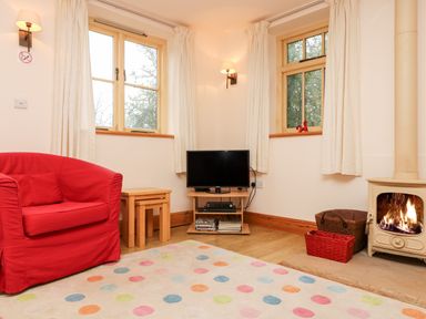 A living room with a red armchair a television on a stand a wood burning stove and polka dot rug at Plum Cottage in Colebrooke near Crediton