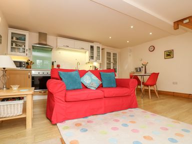 An open plan living room and kitchen with a red sofa with cushions a dining table with red chairs and kitchen appliances at Plum Cottage in Colebrooke near Crediton