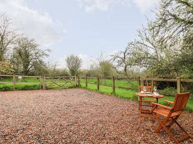 A gravel area with a wooden table and two chairs set with glasses and cups beside a wooden fence in a green garden at Plum Cottage in Colebrooke near Crediton