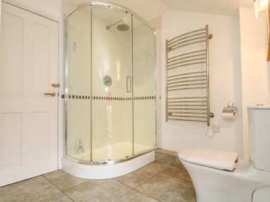 A bathroom with a glass shower enclosure a toilet and a wall-mounted towel radiator at Apple Cottage in Colebrooke near Crediton