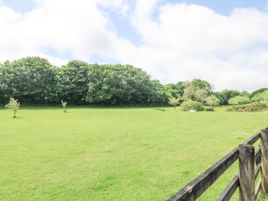 A green field with small trees and a wooden fence with trees in the background at Roosters in Lostwithiel