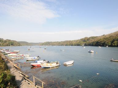 A river with numerous boats docked near the shore and floating on the water surrounded by trees at Roosters in Lostwithiel