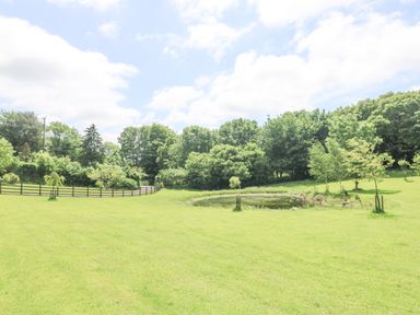 A grassy field with a small pond and trees surrounded by a wooden fence at Byre in Lostwithiel
