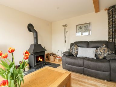 A living room with a wood stove fire a dark sofa with cushions a wooden coffee table and a vase with tulips at Mynheer Farm Barn Nr Portreath