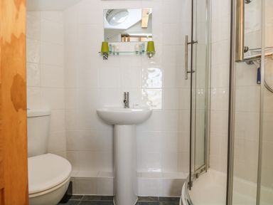 A bathroom with a toilet sink mirror glass shelf and a shower enclosure at Mynheer Farm Barn Nr Portreath